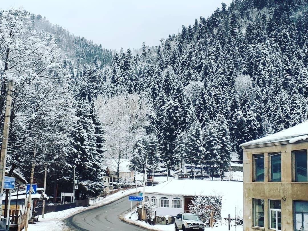 Green Villa Tsaghveri エクステリア 写真